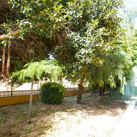 Santanatenis - Costa Calpe